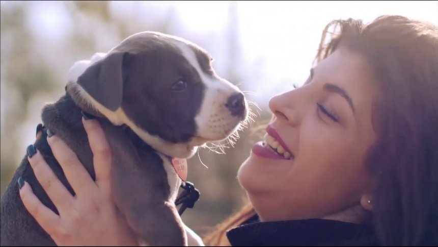 VIDÉO Animal Academy de Christophe Dechavanne : découvrez les premières images