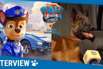 La Pat&rsquo; Patrouille Le Film : ces chiens livrent leurs impressions après avoir vu le film (vidéo)