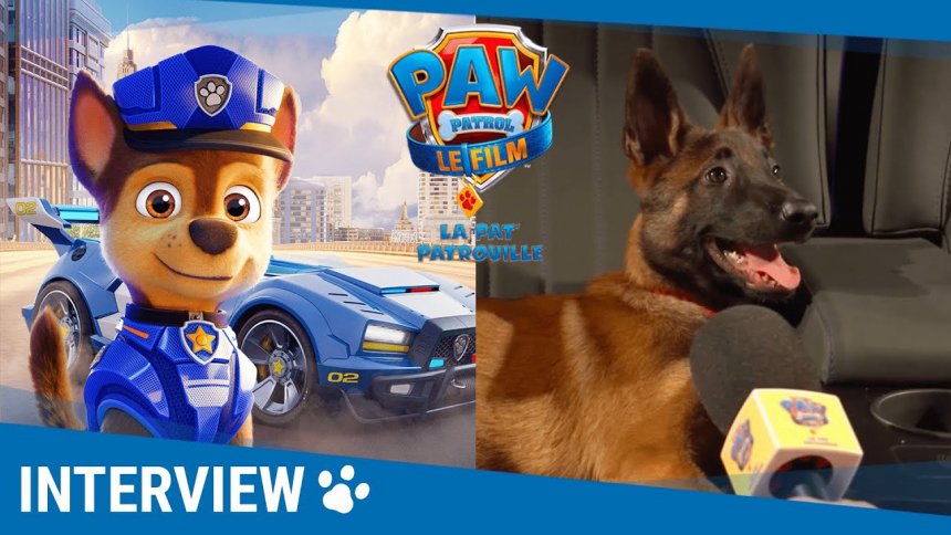 La Pat&rsquo; Patrouille Le Film : ces chiens livrent leurs impressions après avoir vu le film (vidéo)