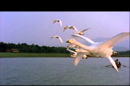 Le comédien et réalisateur Jacques Perrin est mort à âge de 80 ans