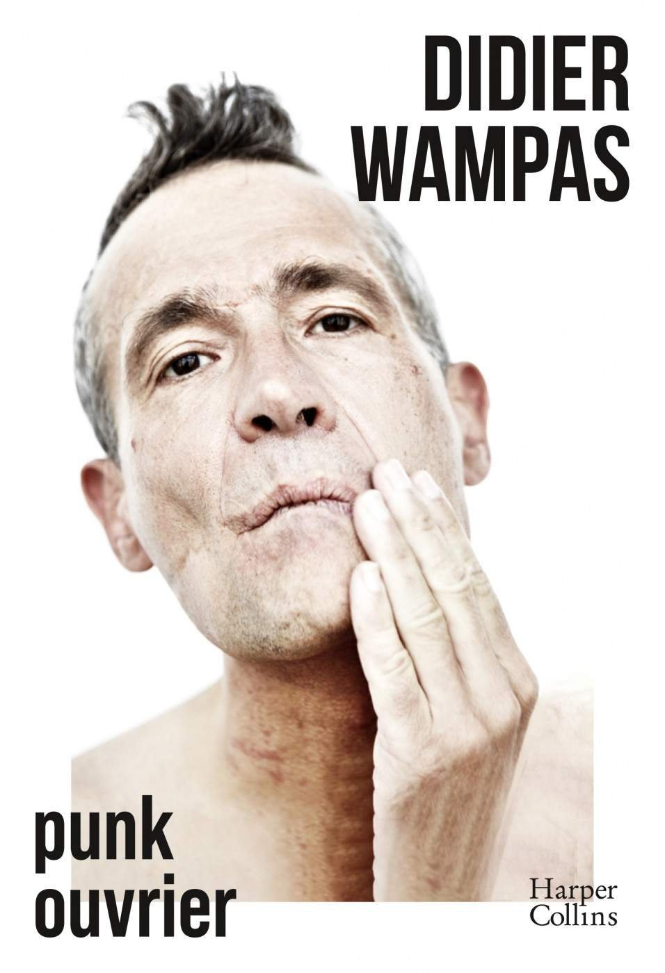 Autobiographie d'un rebelle : Didier Wampas, l'anti-star du rock français