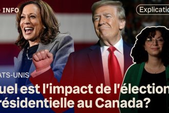 Comment se déroulent les élections américaines en 2024 : les battlegrounds décisifs