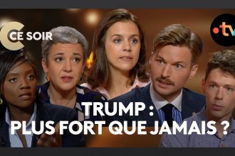 Comment se déroule les élections américaines en 2024 : plateforme électorale