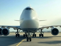 Incident en plein vol : un pilote mordu par une araignée, l’équipage en alerte