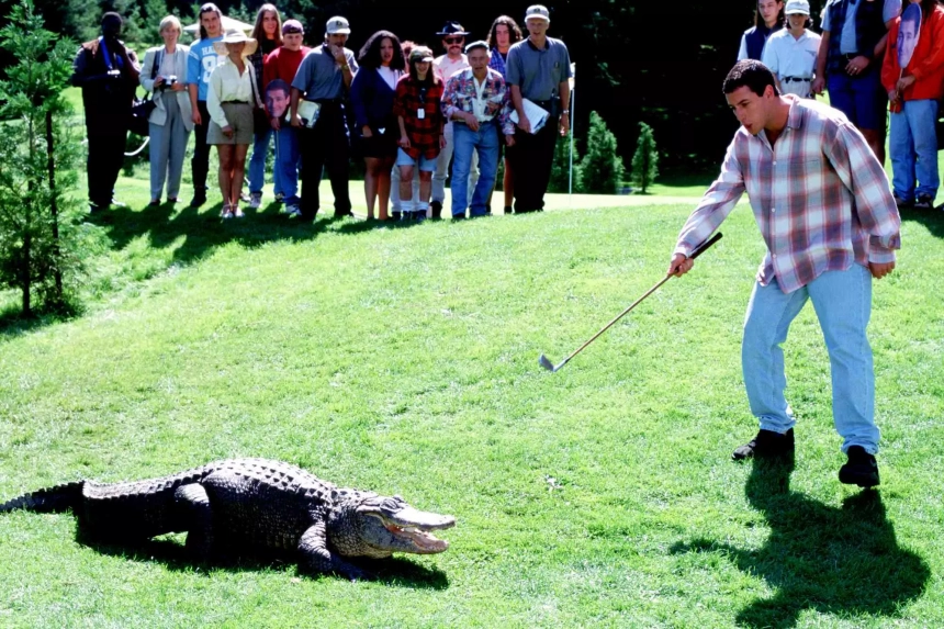Morris, l&rsquo;alligator vedette du film Happy Gilmore, est mort à l&rsquo;âge de 80 ans