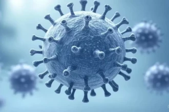 Chikungunya à Mayotte : 74 nouveaux cas détectés entre le 9 et 15 juin 2025