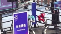 Première compétition mondiale de robots humanoïdes à Pékin : entre prouesses technologiques et chutes spectaculaires