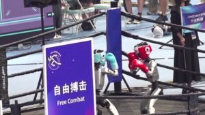 Première compétition mondiale de robots humanoïdes à Pékin : entre prouesses technologiques et chutes spectaculaires