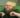 Person gesturing expressively in front of green screen.