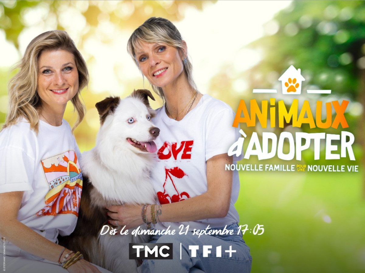 TMC : « Animaux à adopter » revient en inédit dès le 21 septembre