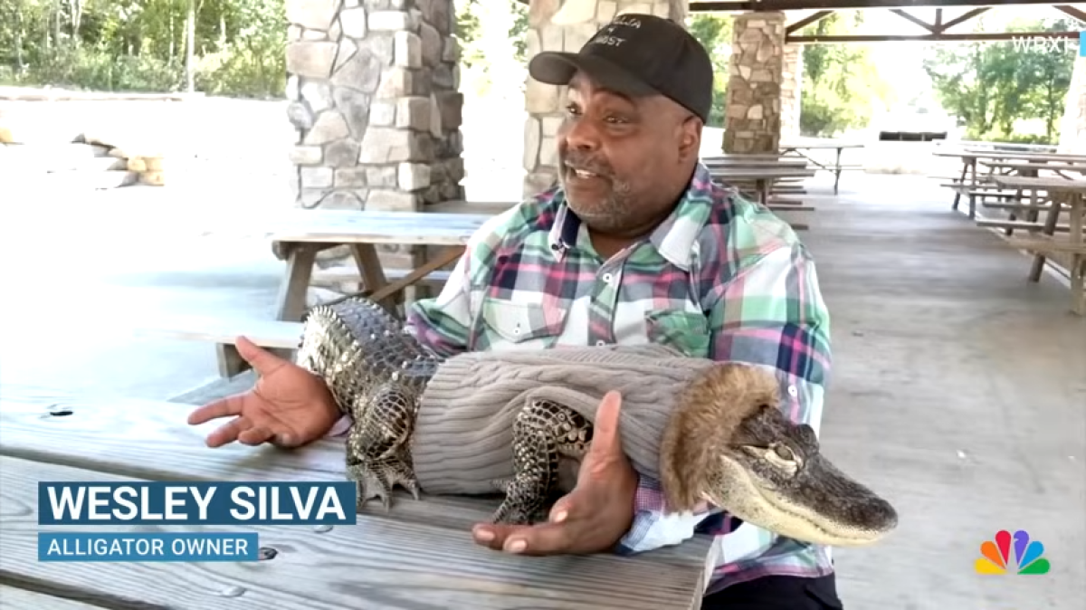 VIDÉO – Son alligator interdit de supermarché : il crie à l’injustice