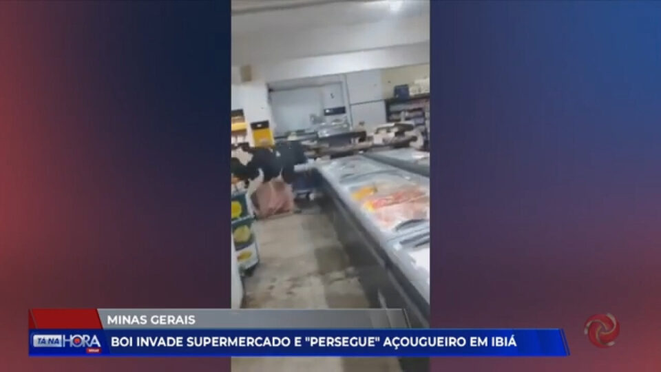 Vidéo scène surréaliste au brésil, une vache sème la panique dans un supermarché et poursuit le boucher VIDÉO Scène surréaliste au Brésil, une vache sème la panique dans un supermarché et poursuit le boucher