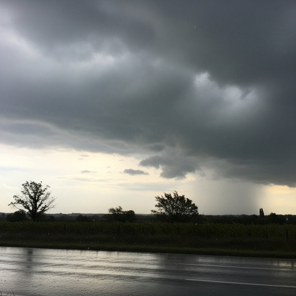 Les prévisions météo du 24 novembre : un temps agité et pluvieux avant une accalmie