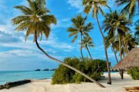 Vacances corse 2026 : la destination star du printemps Vacances Corse 2026 : la destination star du printemps