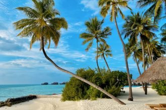 Vacances Corse 2026 : la destination star du printemps