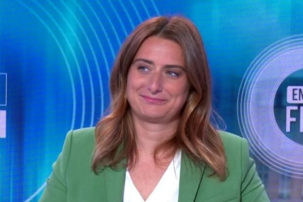 Marine Tondelier annonce être enceinte « un bébé miracle »