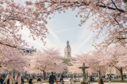 Météo du 4 mars 2026 : Douceur printanière et éclaircies sur la France