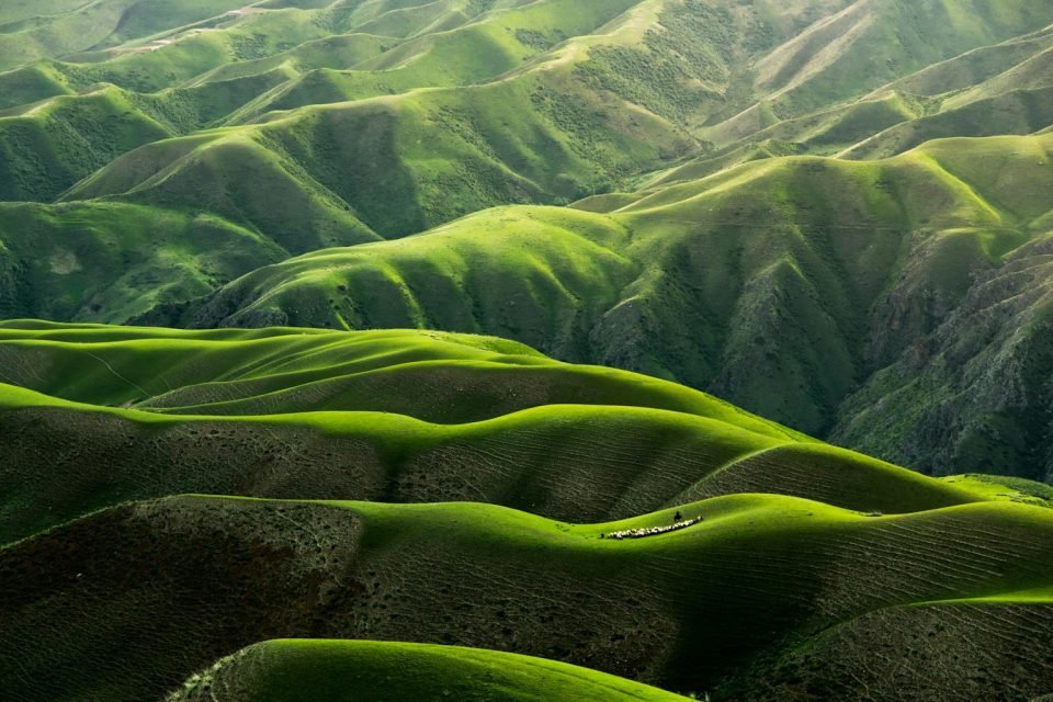 Équinoxe de printemps : soleil et douceur sur toute la France ce vendredi