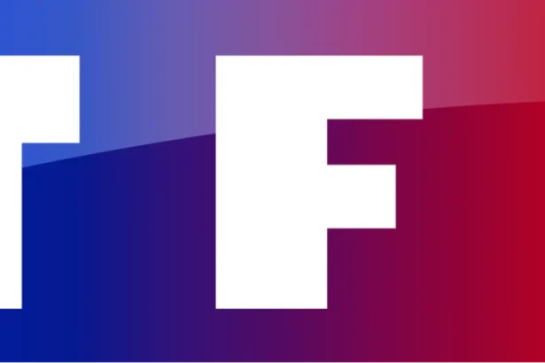 TF1 : émissions, audiences et actualités