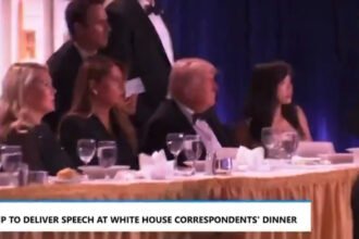 Tirs à Washington : Trump évacué du dîner des correspondants