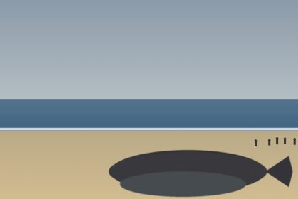 Cachalot de Préfailles : évacuation du corps attendue mercredi