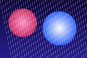 Championnat de France de yo-yo : les champions réunis à Paris