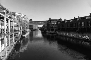 Crocodile mort repêché dans le canal de Roubaix : enquête ouverte