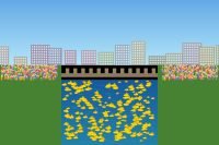 Duck Race à Luxembourg : 25 000 canards lâchés dans l’Alzette