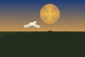 Comedy Wildlife Awards : un fou de Bassan embrouillé remporte