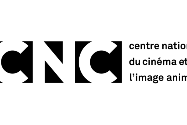 Le CNC suspend son fonds d’aide à la création sur les plateformes sociales