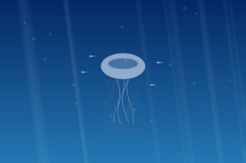 Méduses géantes d'1 mètre aperçues dans le Morbihan