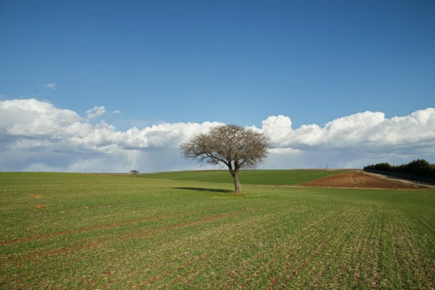 Paysage de campagne française au printemps avec ciel nuageux