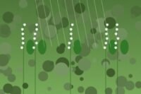 Muguet fleurs du 1er mai fête du travail