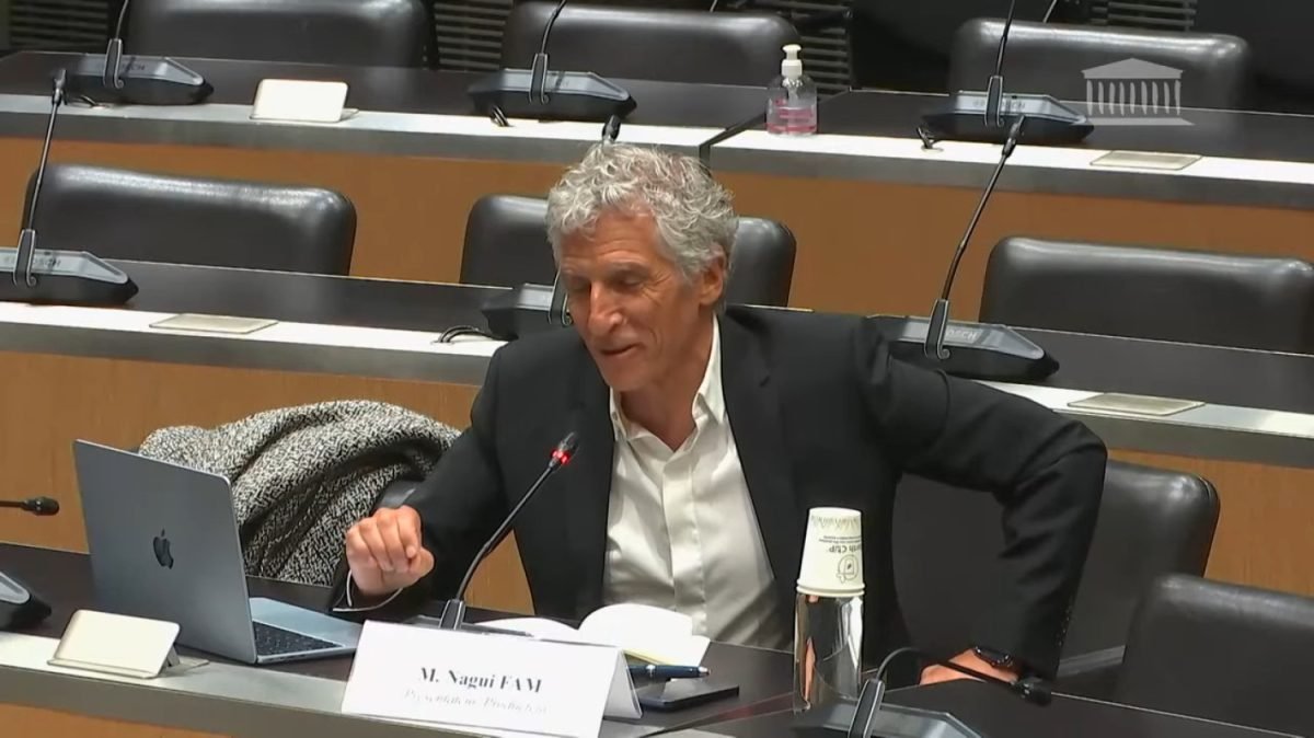 Nagui Commission enquête audiovisuel