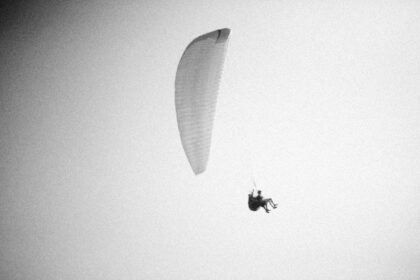 Parapentiste bloqué à 10 mètres dans un arbre en seine-maritime Parapentiste bloqué à 10 mètres dans un arbre en Seine-Maritime