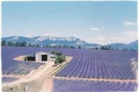 Un Dimanche à la Campagne : Montagné, Lemoine et Saint Sernin