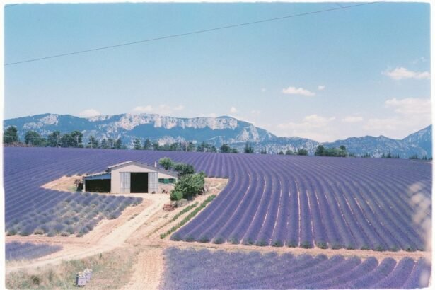 Un Dimanche à la Campagne : Montagné, Lemoine et Saint Sernin