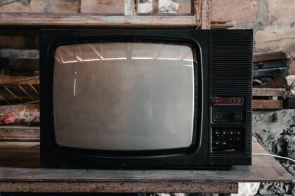 Audiences dimanche : tf1 leader, zone interdite en forme Audiences TV prime time dimanche 17 mai 2026