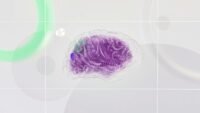 OpenAI unifie ChatGPT et Codex sous Greg Brockman