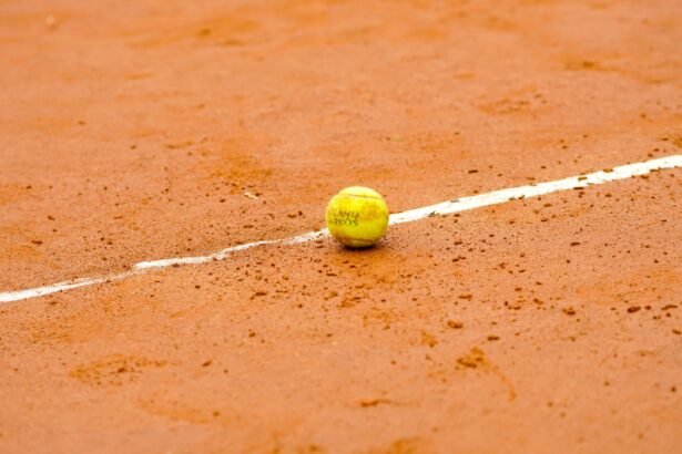 Roland-Garros : Djokovic bat un record, Paolini et Rybakina out