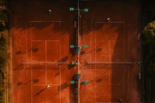 Roland-Garros : Dimitrov éliminé dès les qualifications