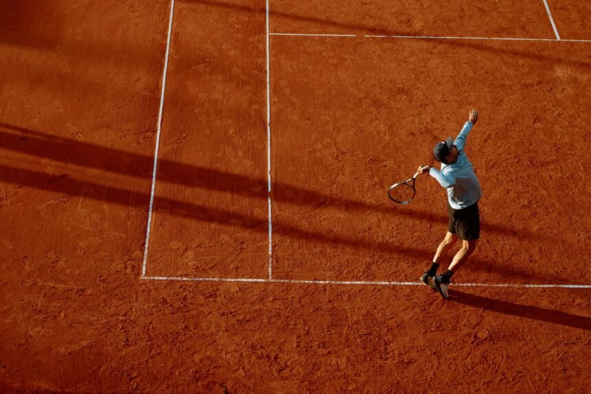 Roland-Garros : Halys sauve l'honneur, Djokovic se qualifie