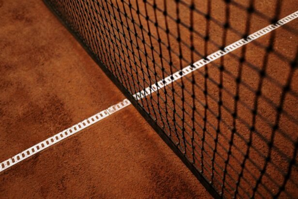 Roland-Garros : Daniel Jade, 17 ans, élimine Evans