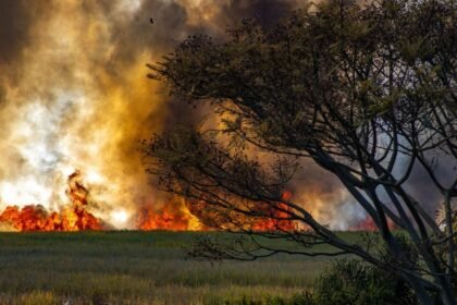 Canicule : environ 1 000 décès supplémentaires en France depuis le 24 juin