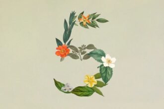 Claude Sonnet 5, le nouveau modèle d'Anthropic lancé le 30 juin 2026