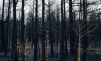 Incendies en provence : plusieurs départs de feu en pleine canicule détroit d Ormuz
