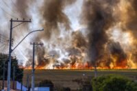 Canicule : lecornu place les systèmes de sécurité civile en alerte maximale tpmp, cstar, cyril, hanouna, pourrait