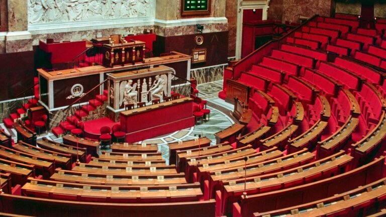 Mariages des sans-papiers : tensions et obstruction à l’Assemblée nationale