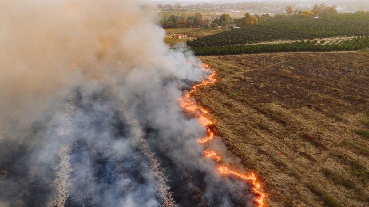 Drôme : un feu de végétation perturbe les TGV entre Valence et Avignon