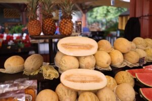 Melons rappelés chez lidl et aldi : pesticides en excès, ne les consommez pas dordogne, deux, garçons, ont, été